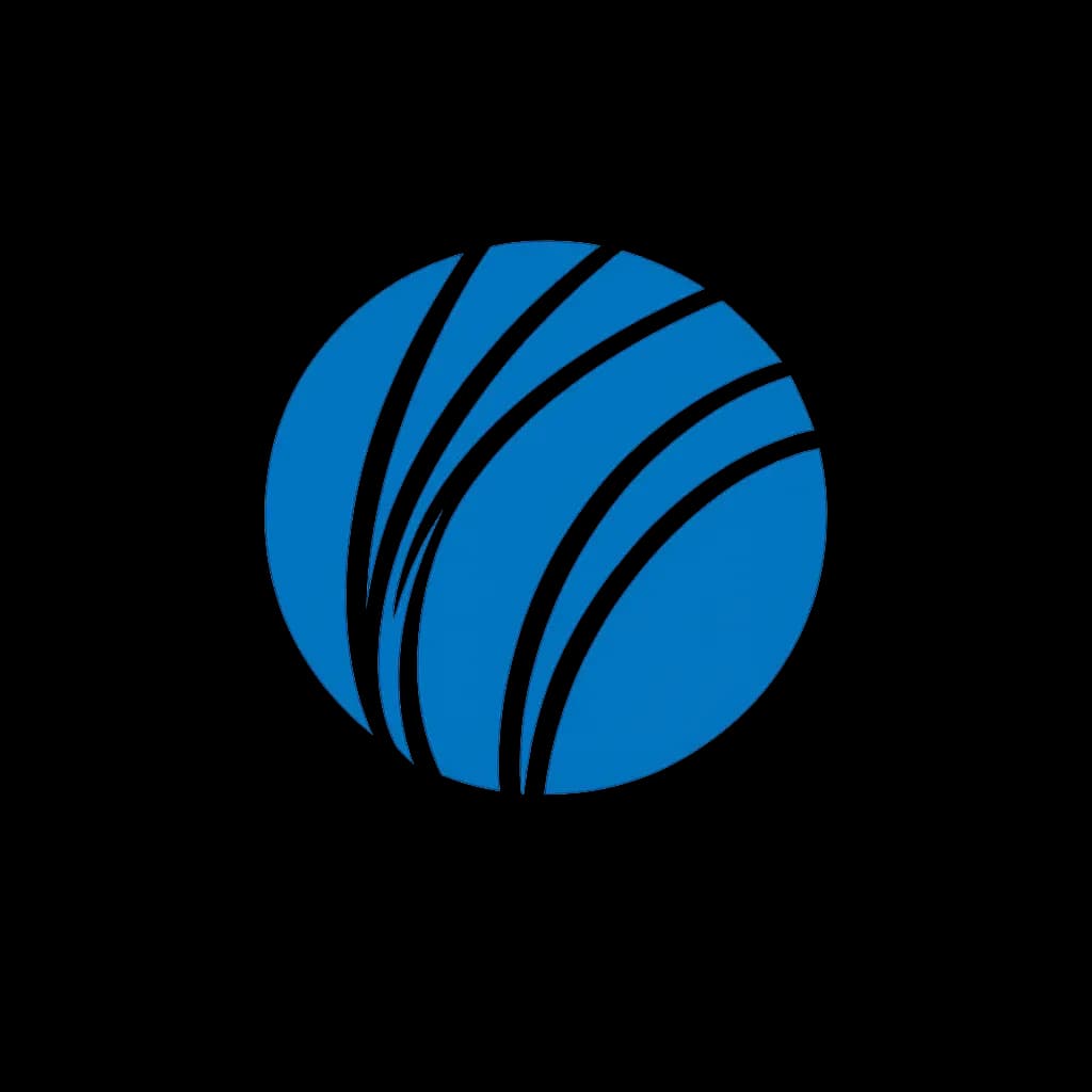 System's Support Solutions NV logo